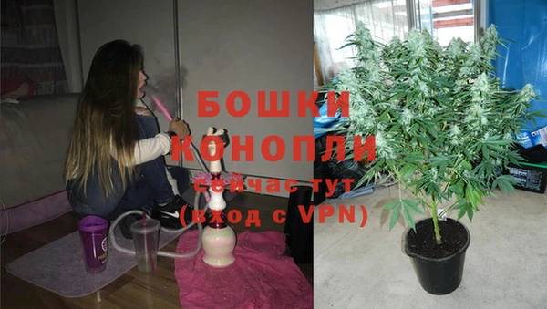 дмт Богородск