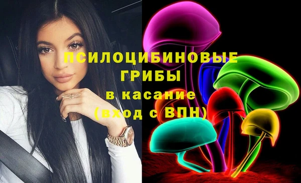 круглые Богданович