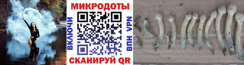 купить наркотики сайты  МЕГА tor  Галлюциногенные грибы GOLDEN TEACHER  Михайловск 
