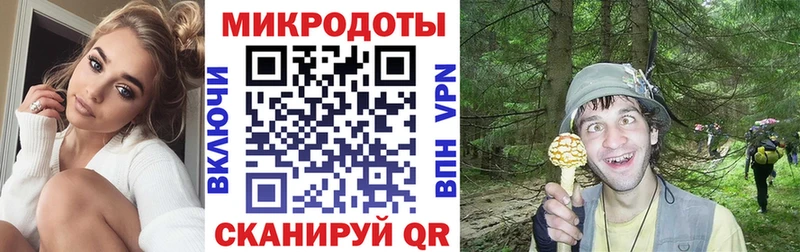 Галлюциногенные грибы мухоморы Михайловск